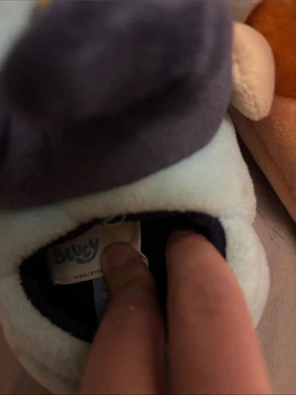 Plush Blue and Orange Kids Slippers